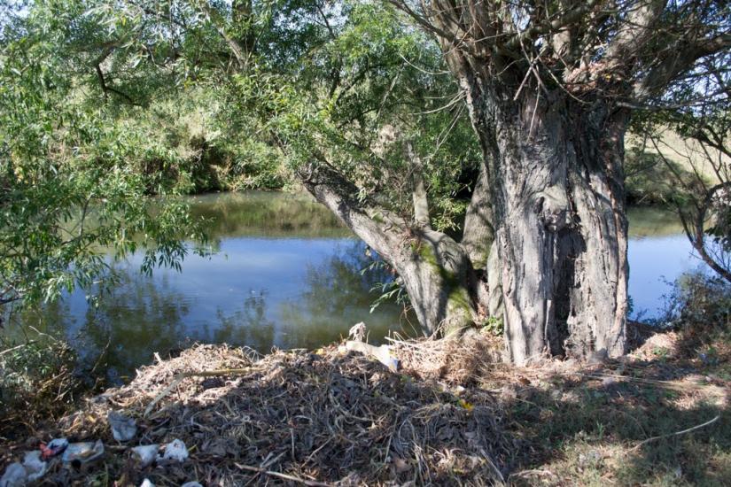 Тисмениця з panoramio.com - Тысменица