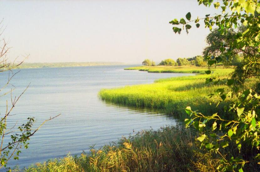 Василівка-на-Дніпрі з panoramio.com - Василівка-на-Дніпрі