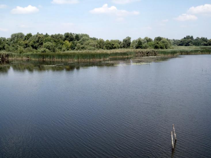Солгутове з panoramio.com - Solgutove