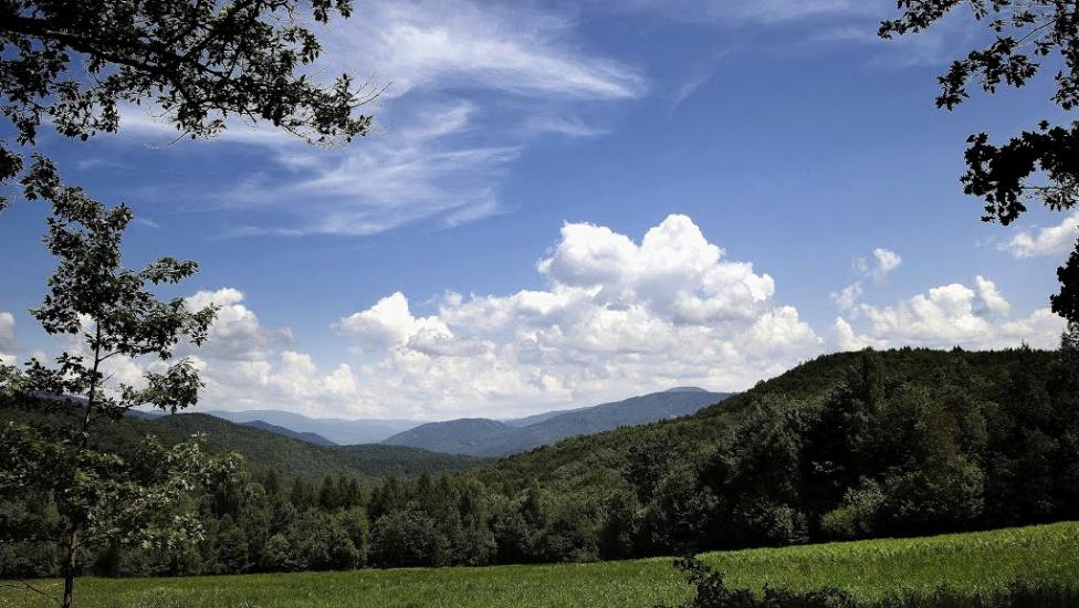 Забрідь з panoramio.com - Zabrid