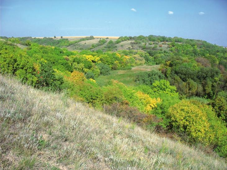 Спаське з panoramio.com - Спасское