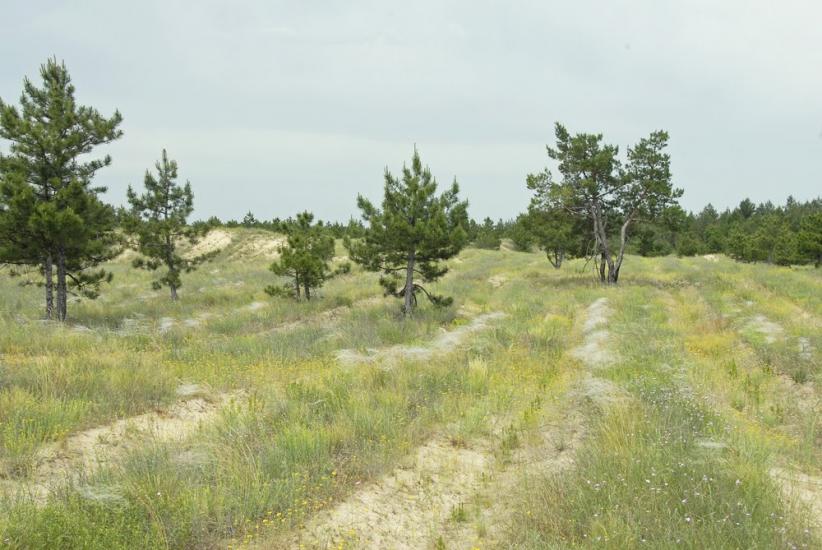 Саги з panoramio.com - Саги