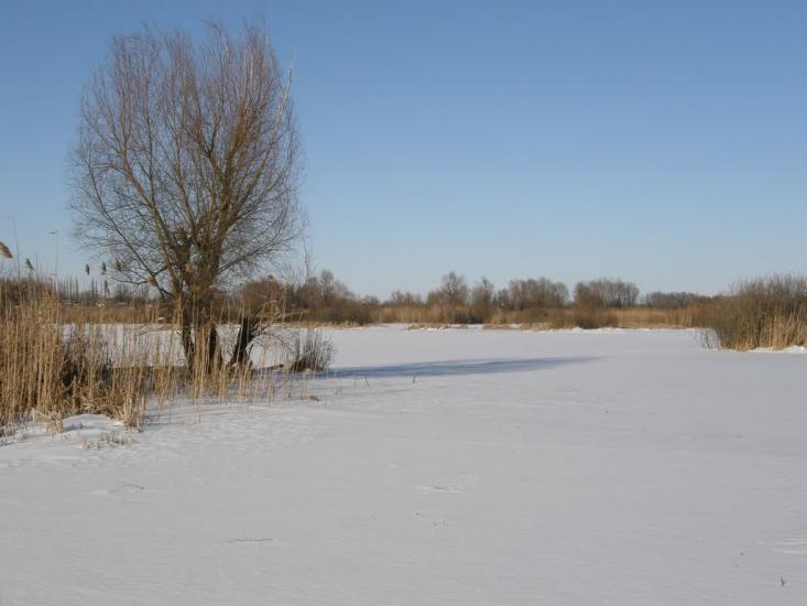 Оржиця з panoramio.com - Orzhytsya