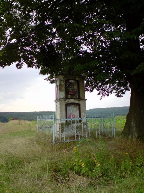 Нижня Вовча з panoramio.com - Nyzhnya Vovcha