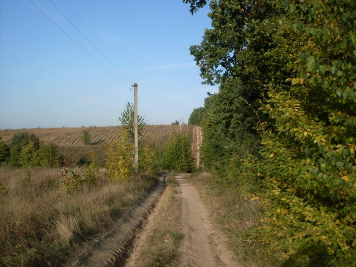 Бубнівка з panoramio.com - Bubnivka