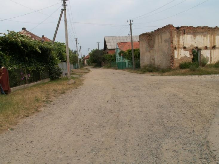 Нове Давидково з panoramio.com - Нове Давидково