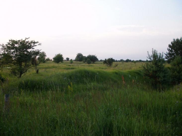 Римачі з panoramio.com - Рымачи