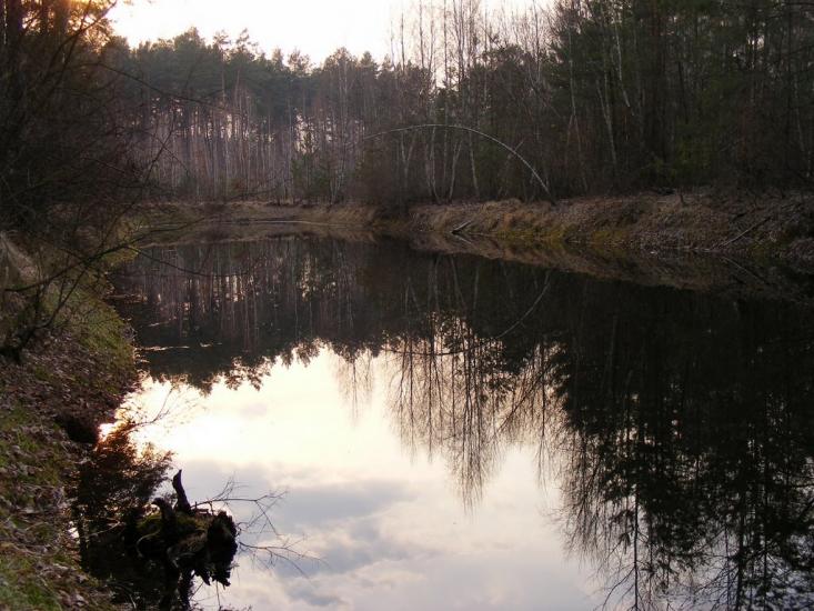 Кузьки з panoramio.com - Кузьки