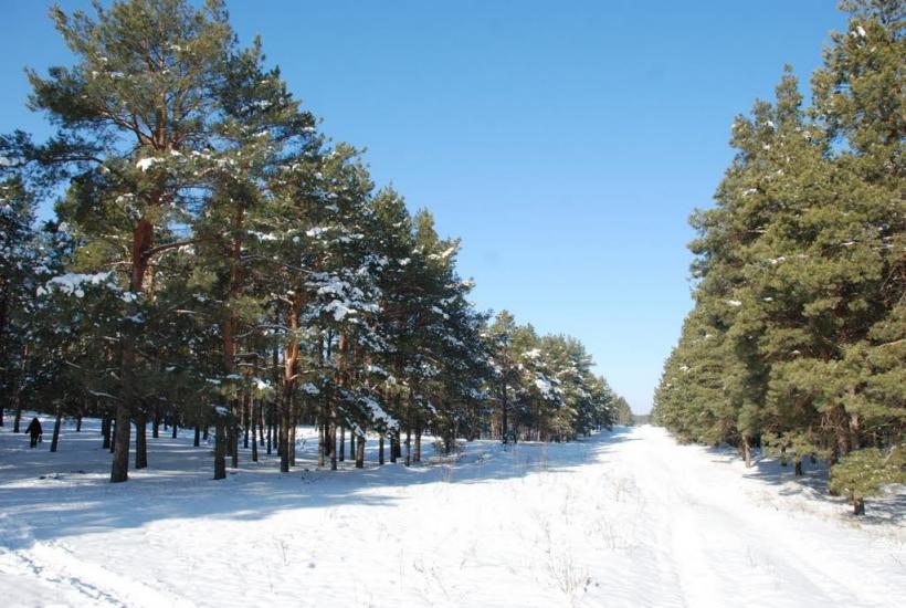 Миколаїв з panoramio.com (ч.4) - Николаев