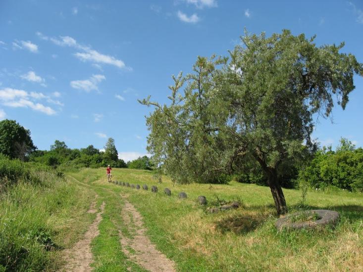 Вільшани з panoramio.com - Вільшани