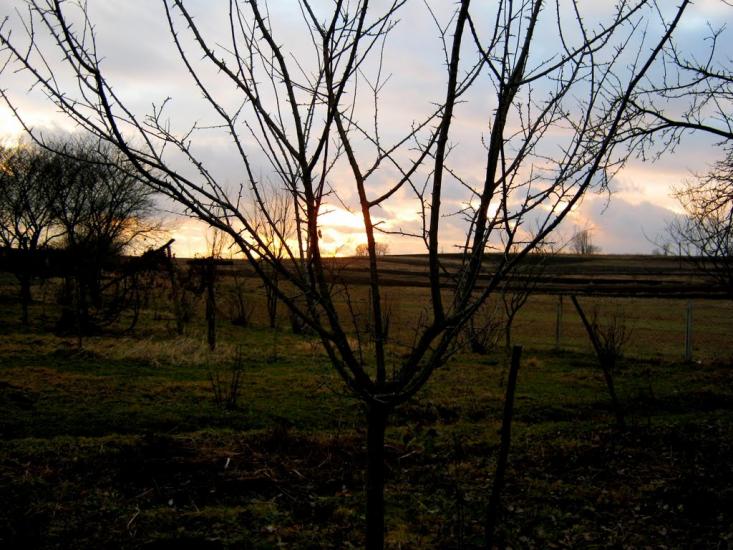 Новосілки з panoramio.com - Новоселки