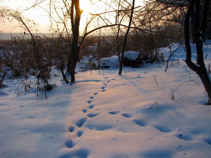 Волиця з panoramio.com - Волица