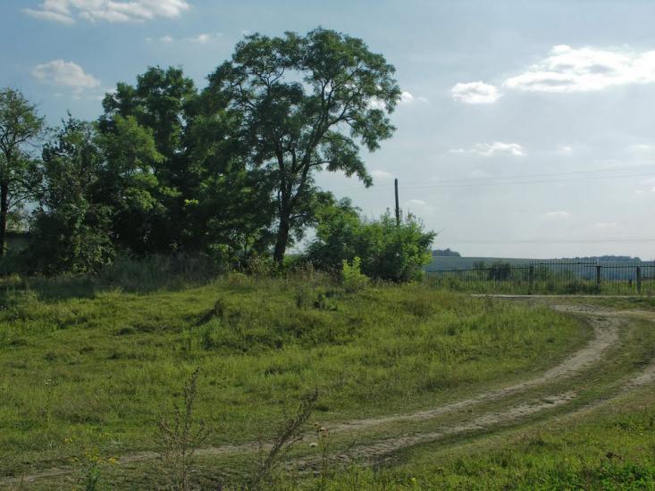 Дмитрівка з panoramio.com - Дмитрівка