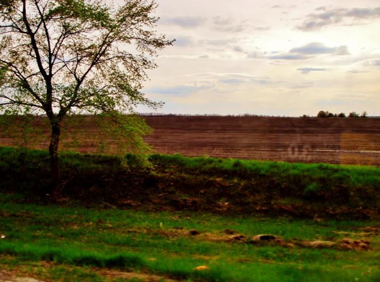 Довгалівське з panoramio.com - Dovgalivske