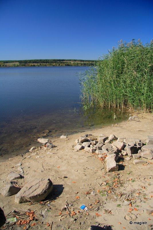 Липці з panoramio.com - Lyptsi