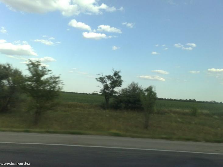 Василівка з panoramio.com - Василівка