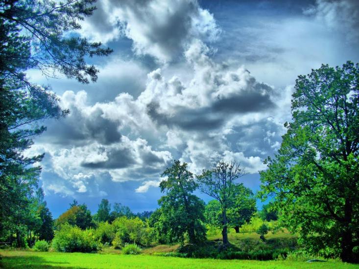 Сущани з panoramio.com - Сущани