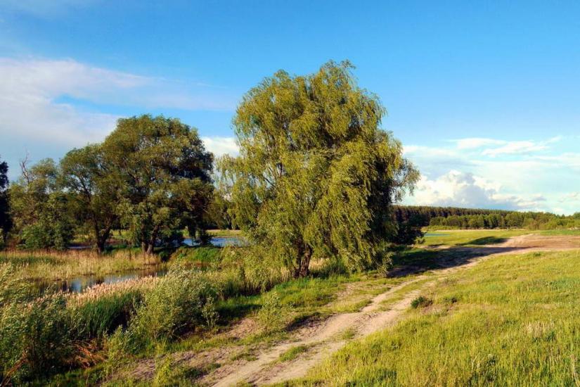 Великий Карашин з panoramio.com - Великий Карашин