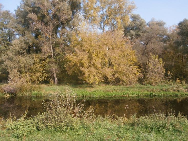 Нечаївка з panoramio.com - Нечаевка