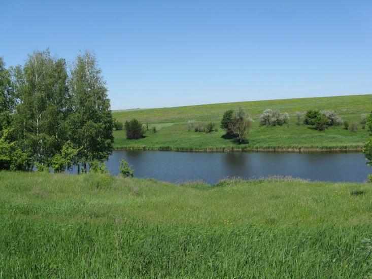 Дементіївка з panoramio.com - Дементиевка