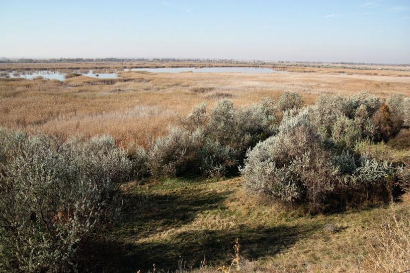 Маяки з panoramio.com - Маяки