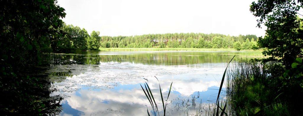 Стригани з panoramio.com - Стриганы