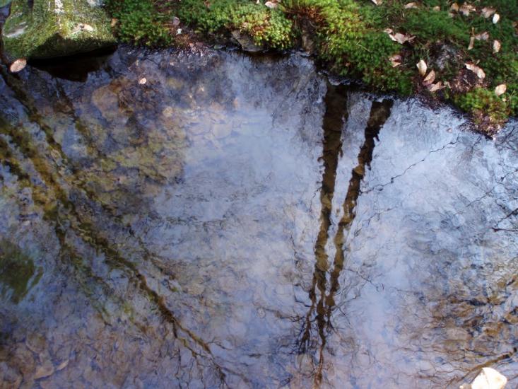 Козулька з panoramio.com - Козулька