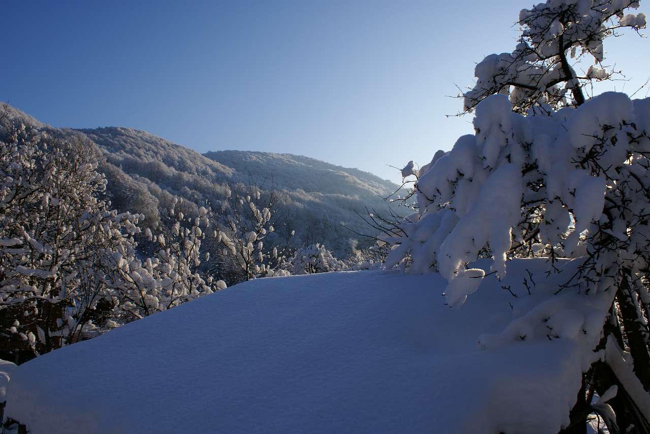 Виженка якою я ЇЇ бачу - Vyzhenka