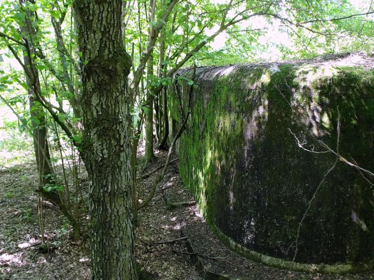 Велика Любаша з panoramio.com - Велика Любаша