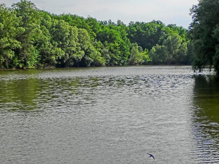 Олександро-Степанівка з panoramio.com - Олександро-Степанівка