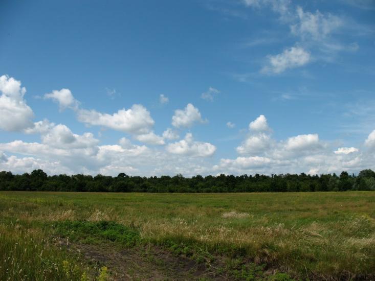 Проців з panoramio.com - Protsiv