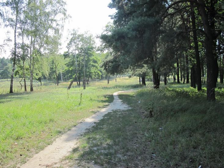 Нова Борова з panoramio.com - Новая Боровая