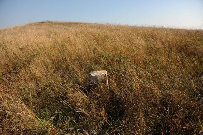 Нововасилівка з panoramio.com - Нововасилевка