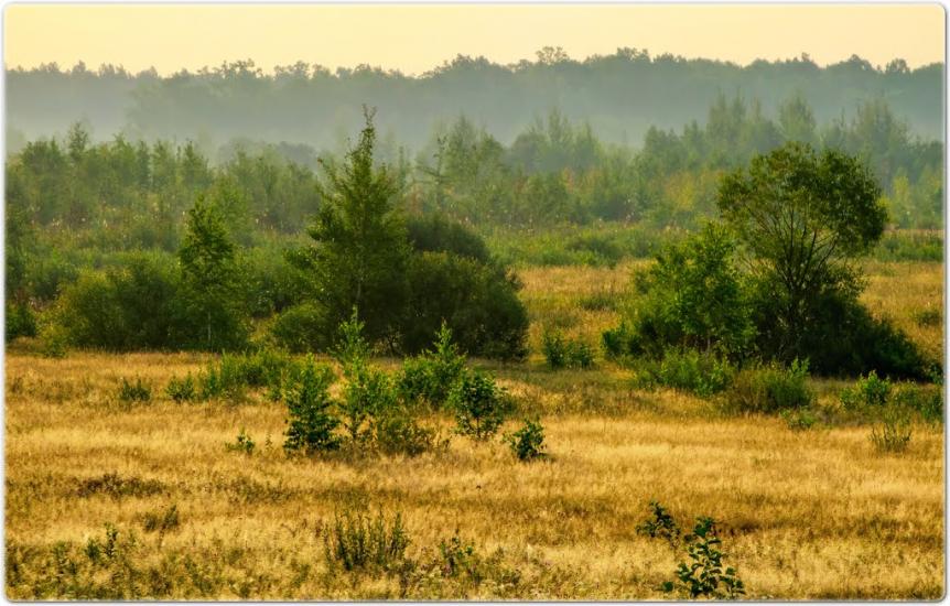 Тепениця з panoramio.com - Тепениця