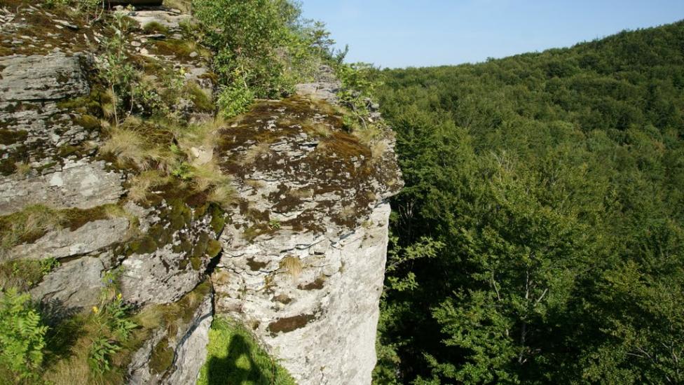 Синяк з panoramio.com - Синяк