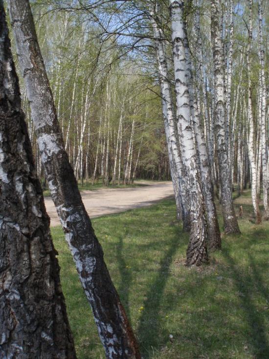 Руська Поляна з panoramio.com - Русская Поляна