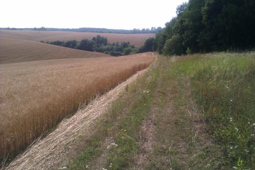 Заріцьк з panoramio.com - Zaritsk
