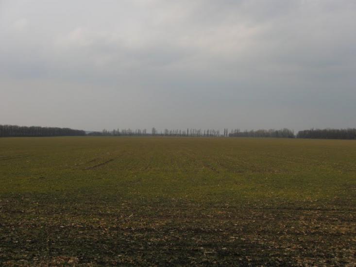Ярмолинці з panoramio.com - Ярмолинці