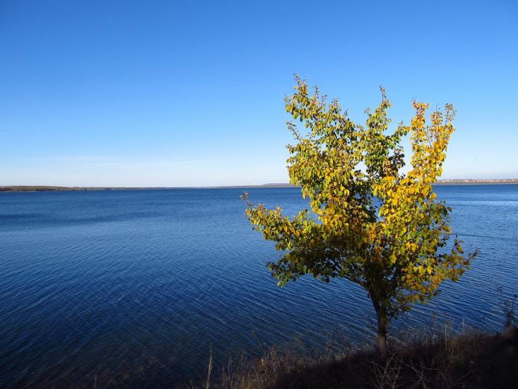 Зелений Гай з panoramio.com - Зеленый Гай
