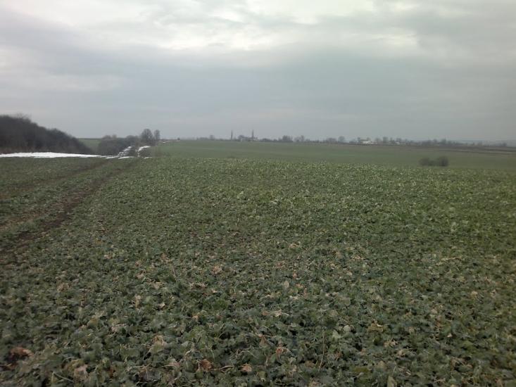 Містковичі з panoramio.com - Містковичі