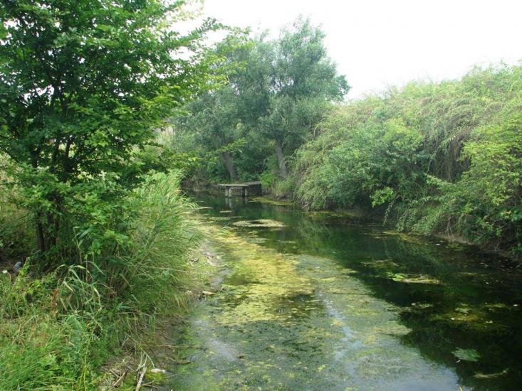 Березнегувате з panoramio.com - Березнегувате