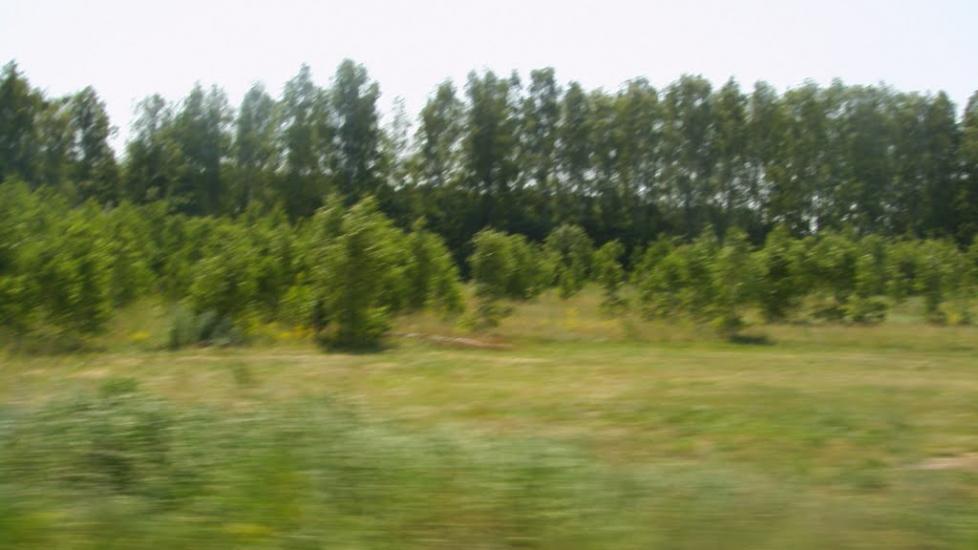 Машеве з panoramio.com - Машево