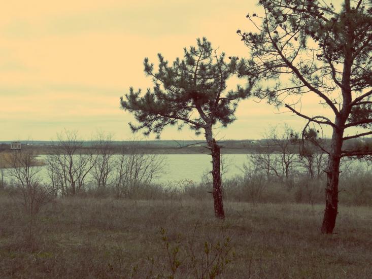 Осипенко з panoramio.com - Осипенко