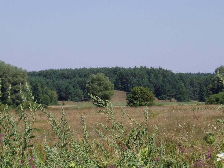 Шилівка з panoramio.com - Шиловка