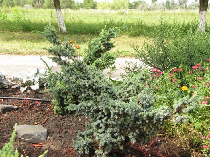 Мелекине з panoramio.com - Мелекино