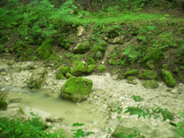 Суржинці з panoramio.com - Суржинці