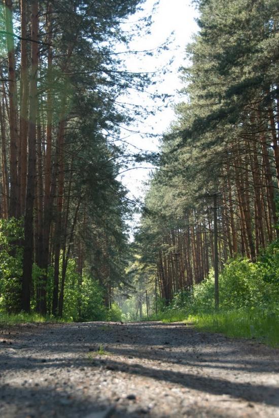 Гамарня з panoramio.com - Гамарня