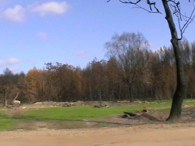 Косачівка з panoramio.com - Косачівка