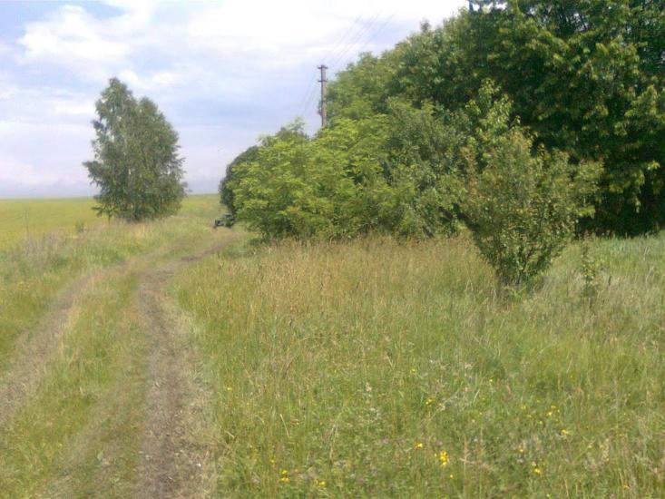 Підвисоке з panoramio.com - Pidvysoke