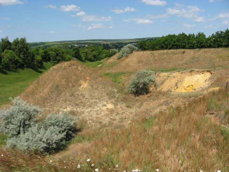 Вільшани з panoramio.com - Ольшаны